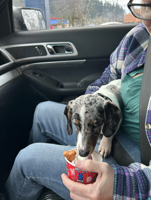 P DU PUP