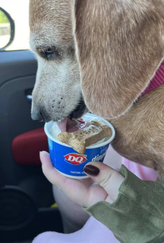 DQ CAUTION: CO get dipp
