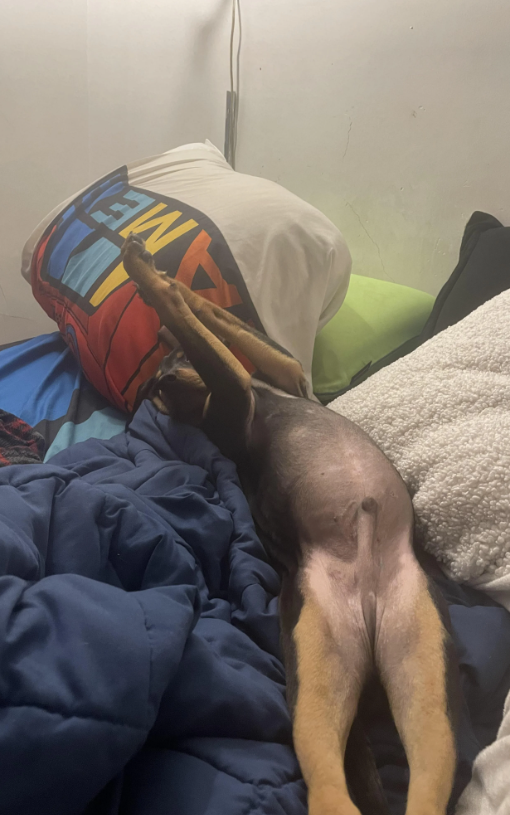ME
