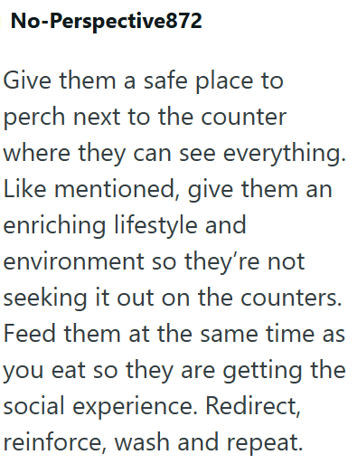 No-Perspective872 Give them a safe place to perch next to the counter where they can see everything. Like mentioned, give them an enriching lifestyle and environment so they're not seeking it out on the counters. Feed them at the same time as you eat so they are getting the social experience. Redirect, reinforce, wash and repeat.