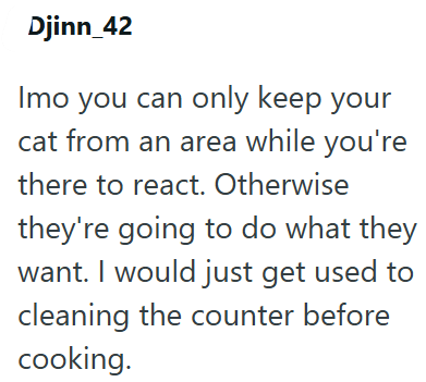 Djinn_42 Imo you can only keep your cat from an area while you're there to react. Otherwise they're going to do what they want. I would just get used to cleaning the counter before cooking.