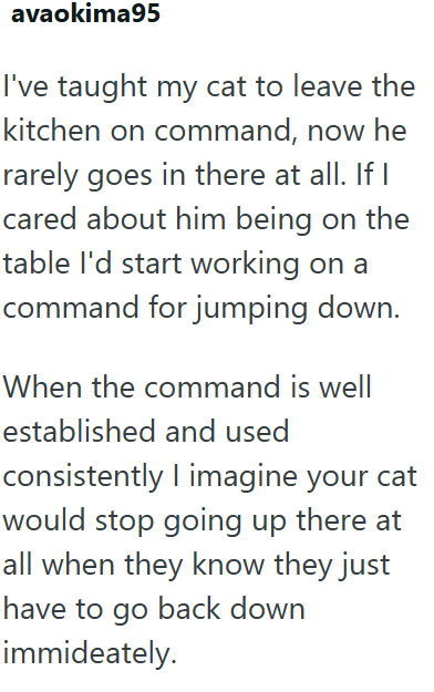avaokima95 I've taught my cat to leave the kitchen on command, now he rarely goes in there at all. If I cared about him being on the table I'd start working on a command for jumping down. When the command is well established and used consistently I imagine your cat would stop going up there at all when they know they just have to go back down immideately.