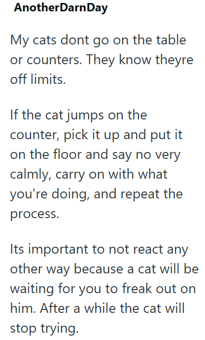 AnotherDarnDay My cats dont go on the table or counters. They know theyre off limits. If the cat jumps on the counter, pick it up and put it on the floor and say no very calmly, carry on with what you're doing, and repeat the process. Its important to not react any other way because a cat will be waiting for you to freak out on him. After a while the cat will stop trying.
