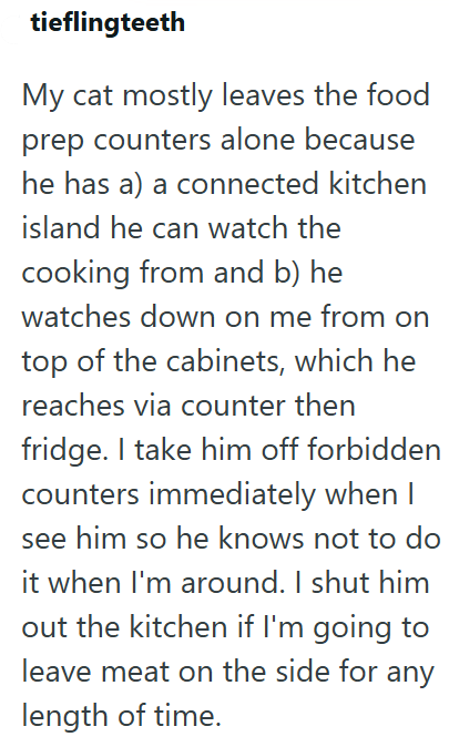 tieflingteeth My cat mostly leaves the food prep counters alone because he has a) a connected kitchen island he can watch the cooking from and b) he watches down on me from on top of the cabinets, which he reaches via counter then fridge. I take him off forbidden counters immediately when I see him so he knows not to do it when I'm around. I shut him out the kitchen if I'm going to leave meat on the side for any length of time.