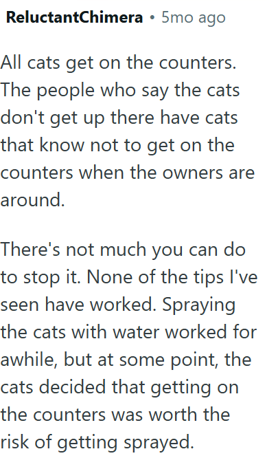 ReluctantChimera • 5mo ago All cats get on the counters. The people who say the cats don't get up there have cats that know not to get on the counters when the owners are around. There's not much you can do to stop it. None of the tips I've seen have worked. Spraying the cats with water worked for awhile, but at some point, the cats decided that getting on the counters was worth the risk of getting sprayed.