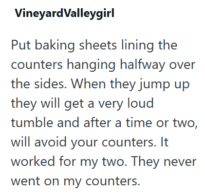 Vineyard Valleygirl Put baking sheets lining the counters hanging halfway over the sides. When they jump up they will get a very loud tumble and after a time or two, will avoid your counters. It worked for my two. They never went on my counters.