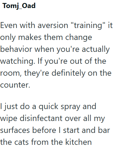 Tomj_Oad Even with aversion "training" it only makes them change behavior when you're actually watching. If you're out of the room, they're definitely on the counter. I just do a quick spray and wipe disinfectant over all my surfaces before I start and bar the cats from the kitchen