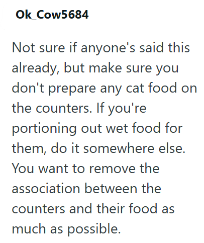 Ok_Cow5684 Not sure if anyone's said this already, but make sure you don't prepare any cat food on the counters. If you're portioning out wet food for them, do it somewhere else. You want to remove the association between the counters and their food as much as possible.