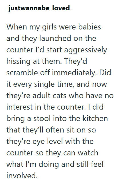 justwannabe_loved_ When my girls were babies and they launched on the counter I'd start aggressively hissing at them. They'd scramble off immediately. Did it every single time, and now they're adult cats who have no interest in the counter. I did bring a stool into the kitchen that they'll often sit on so they're eye level with the counter so they can watch what I'm doing and still feel involved.