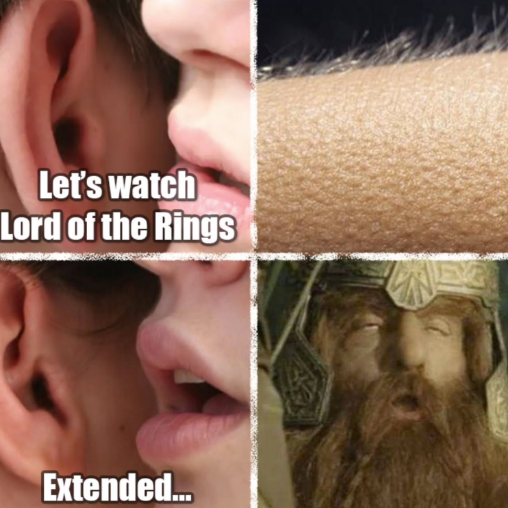 Let's watch Lord of the Rings Extended....