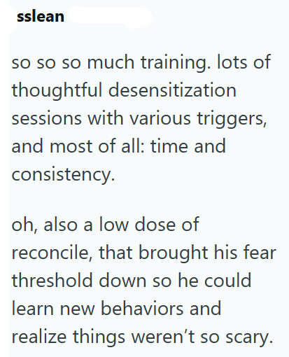 sslean so so so much training. lots of thoughtful desensitization sessions with various triggers, and most of all: time and consistency. oh, also a low dose of reconcile, that brought his fear threshold down so he could learn new behaviors and realize things weren't so scary.