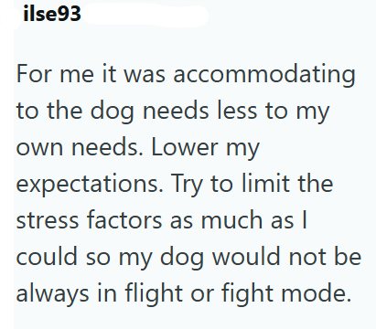 ilse93 For me it was accommodating to the dog needs less to my own needs. Lower my expectations. Try to limit the stress factors as much as I could so my dog would not be always in flight or fight mode.