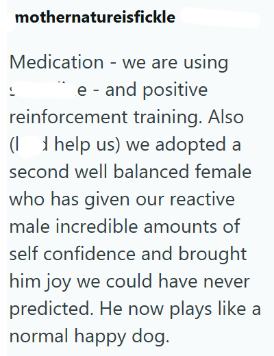 mothernatureisfickle Medication we are using - e- and positive reinforcement training. Also (help us) we adopted a second well balanced female who has given our reactive male incredible amounts of self confidence and brought him joy we could have never predicted. He now plays like a normal happy dog.