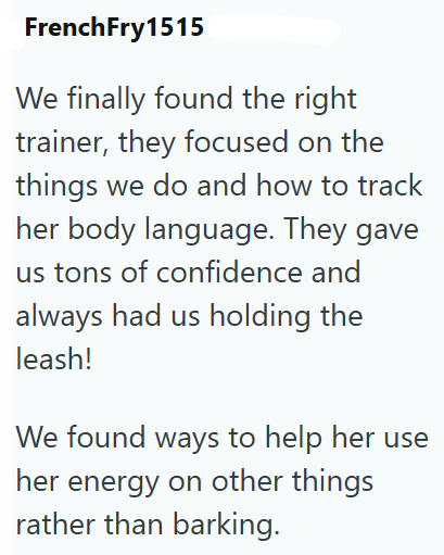 FrenchFry1515 We finally found the right trainer, they focused on the things we do and how to track her body language. They gave us tons of confidence and always had us holding the leash! We found ways to help her use her energy on other things rather than barking.