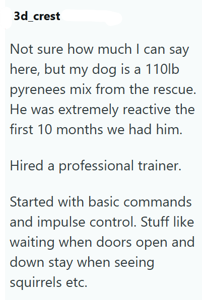 3d_crest Not sure how much I can say here, but my dog is a 110lb pyrenees mix from the rescue. He was extremely reactive the first 10 months we had him. Hired a professional trainer. Started with basic commands and impulse control. Stuff like waiting when doors open and down stay when seeing squirrels etc.