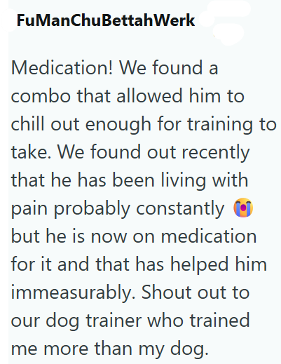FuManChuBettahWerk Medication! We found a combo that allowed him to chill out enough for training to take. We found out recently that he has been living with pain probably constantly but he is now on medication for it and that has helped him immeasurably. Shout out to our dog trainer who trained me more than my dog.