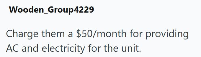 Wooden Group4229 Charge them a $50/month for providing AC and electricity for the unit.