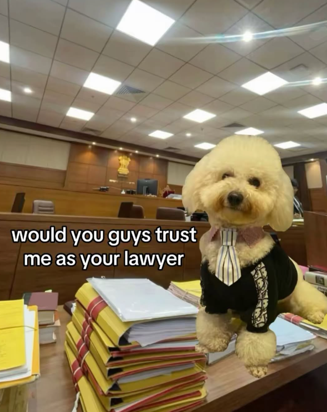 would you guys trust me as your lawyer