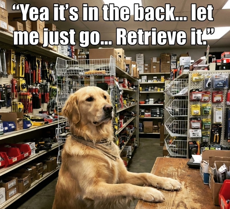 "Yea it's in the back... let me just go... Retrieve it."