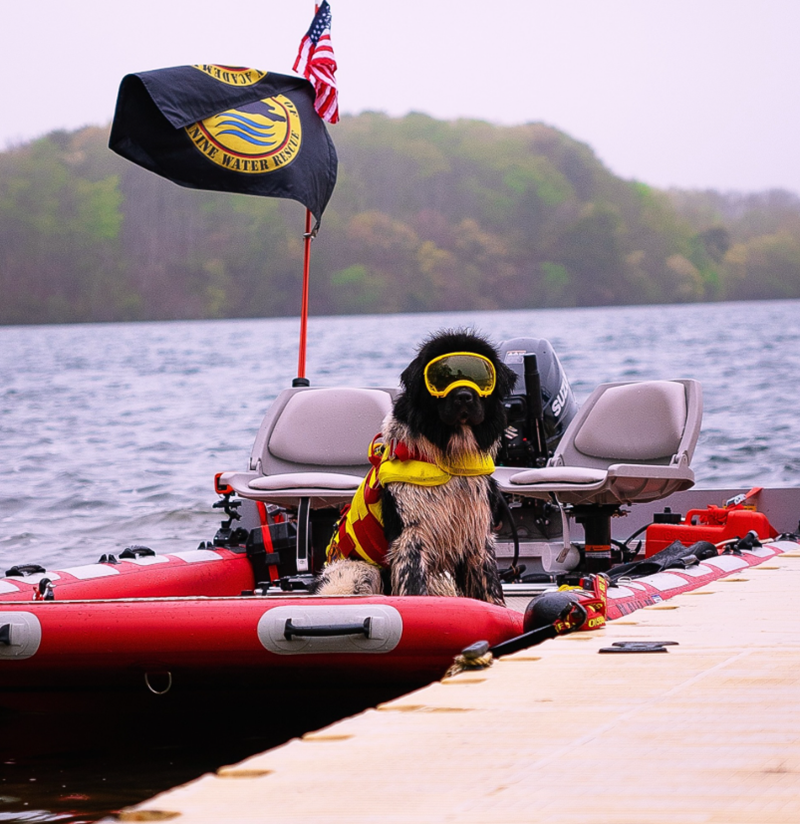 D ACADEM NINE WATER RESCUE SUZ