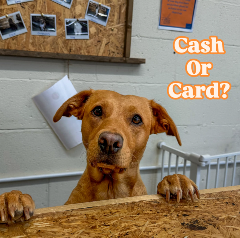 Law Cash Or Card?