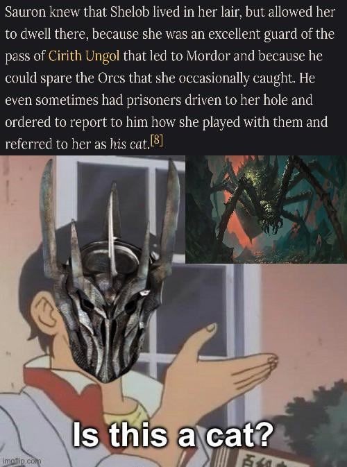 Sauron knew that Shelob lived in her lair, but allowed her to dwell there, because she was an excellent guard of the pass of Cirith Ungol that led to Mordor and because he could spare the Orcs that she occasionally caught. He even sometimes had prisoners driven to her hole and ordered to report to him how she played with them and referred to her as his cat.[8] imaflip.com Is this a cat?