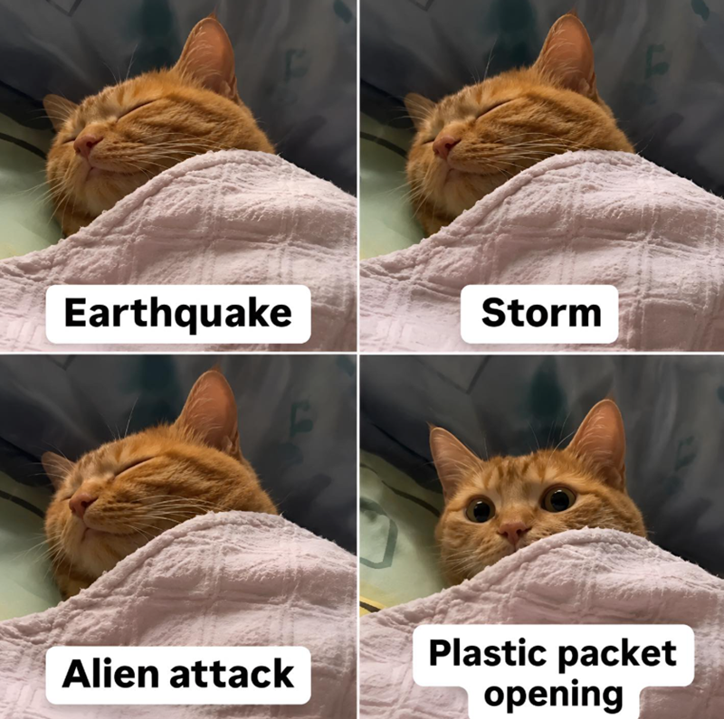 Earthquake Storm Alien attack Plastic packet opening