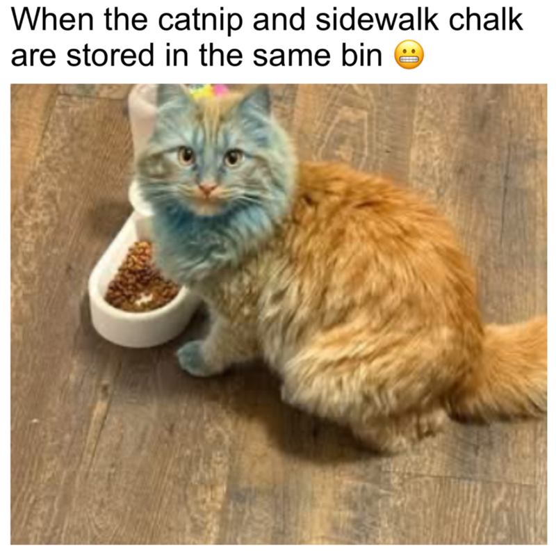 When the catnip and sidewalk chalk are stored in the same bin
