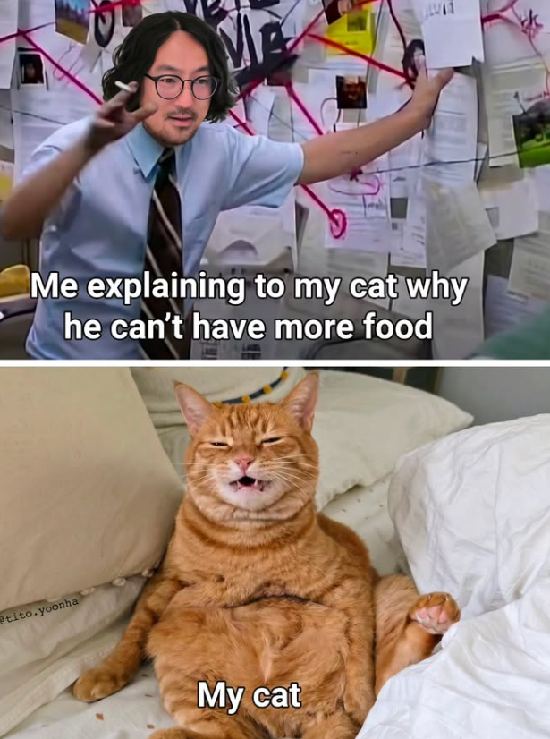 M Me explaining to my cat why he can't have more food tito.yoonha My cat