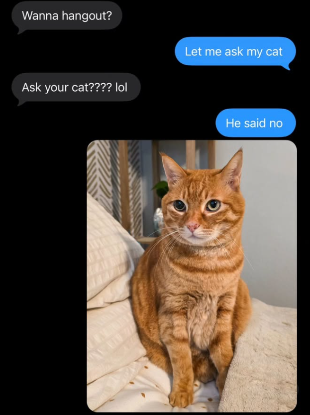 Wanna hangout? Ask your cat???? lol Let me ask my cat He said no