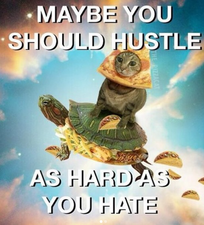 MAYBE YOU SHOULD HUSTLE THE RIZZACAT AS HARD AS YOU HATE