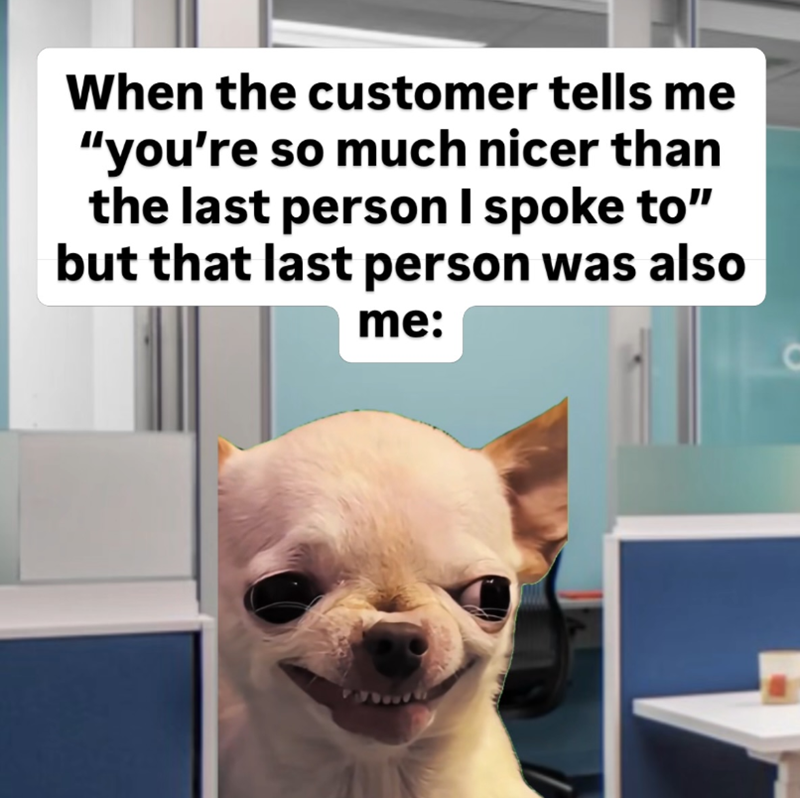 When the customer tells me "you're so much nicer than the last person I spoke to" but that last person was also me: C