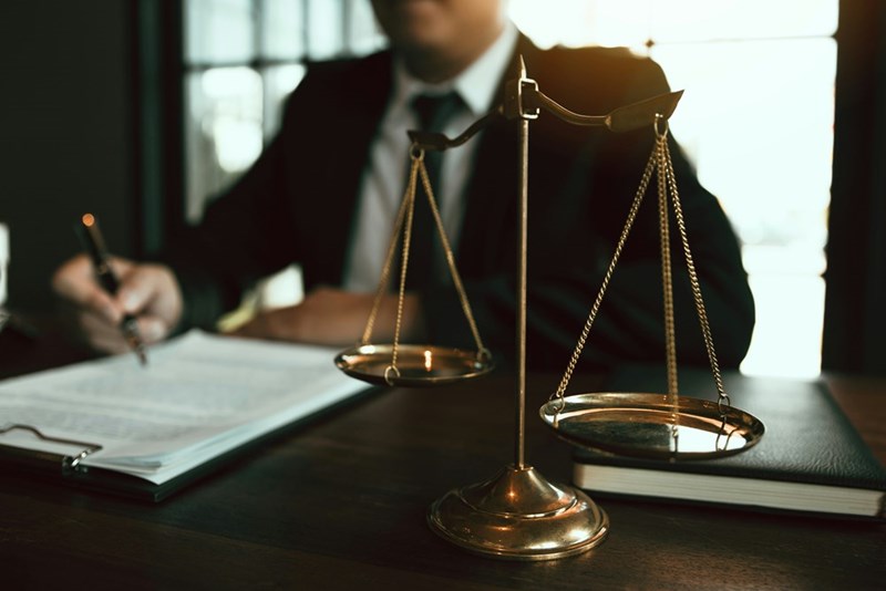 A higher-up lawyer debars a lawyer for committing wage theft with her nanny.