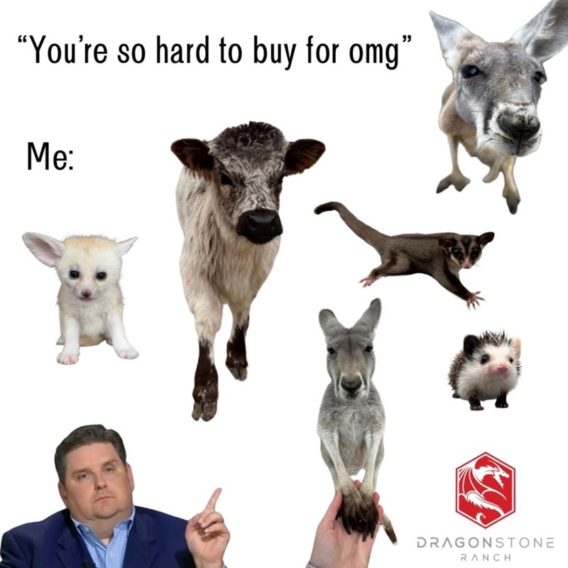 "You're so hard to buy for omg" Me: DRAGONSTONE RANCH