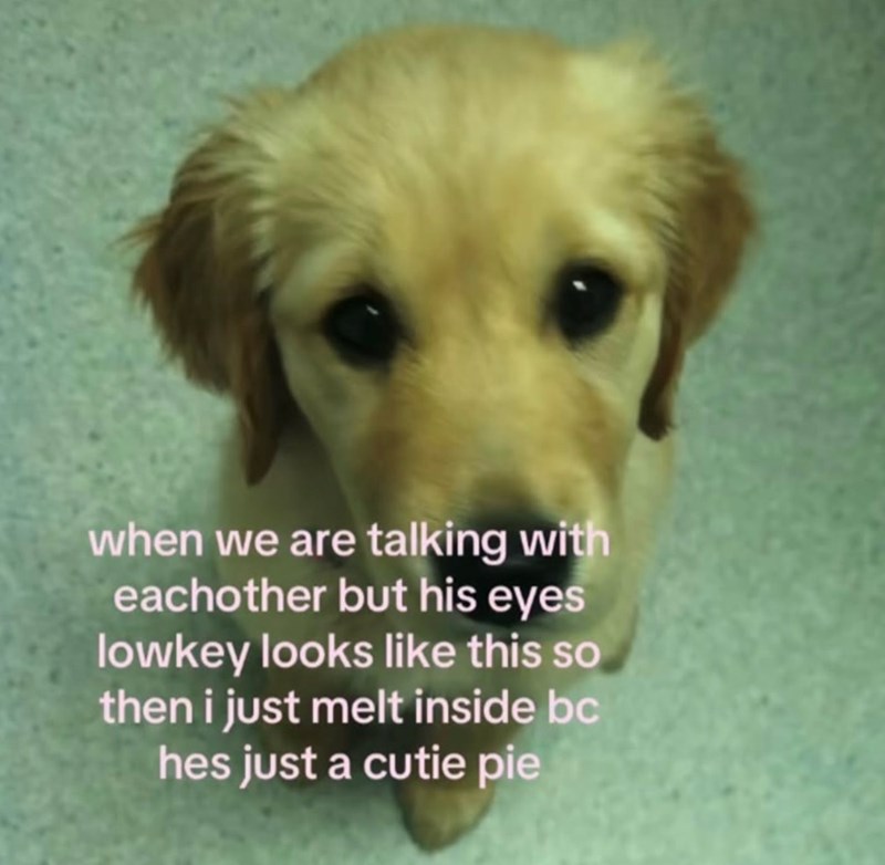 when we are talking with eachother but his eyes lowkey looks like this so then i just melt inside bc hes just a cutie pie