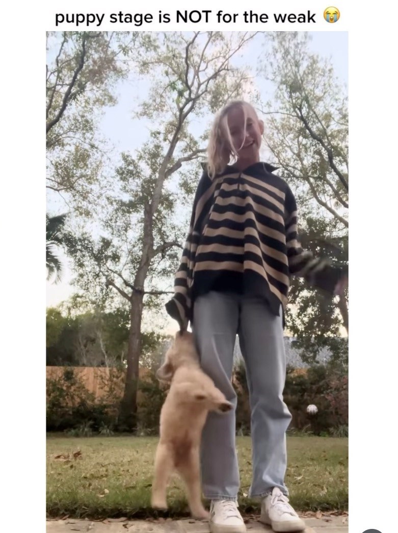puppy stage is NOT for the weak