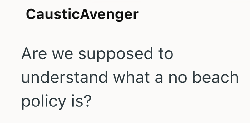 Caustic Avenger Are we supposed to understand what a no beach policy is?