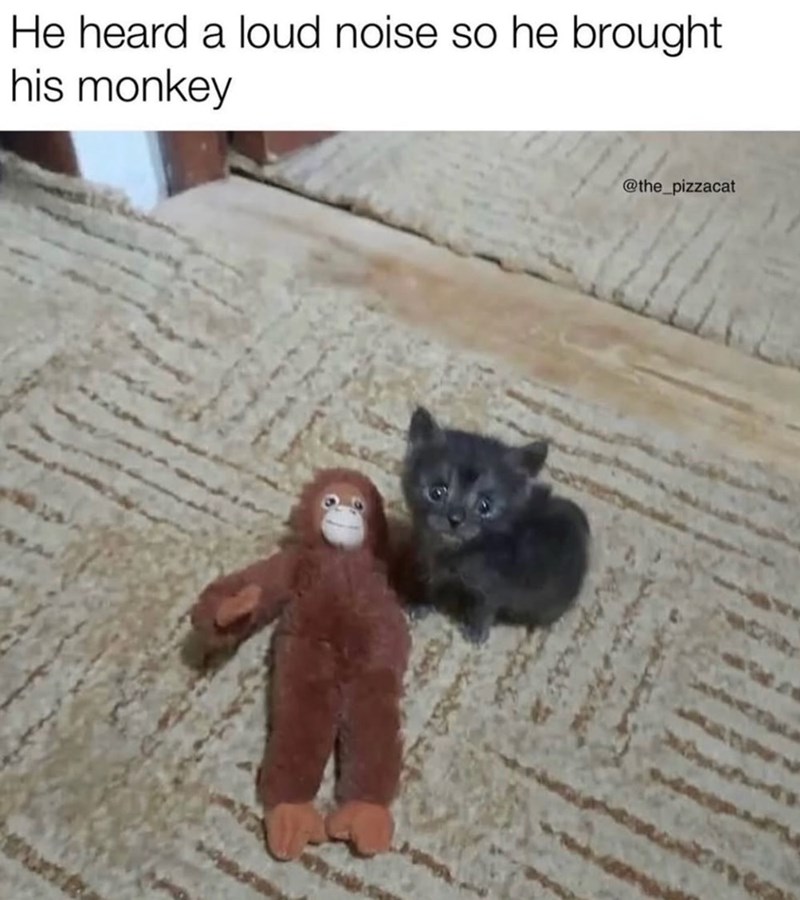 He heard a loud noise so he brought his monkey @the_pizzacat