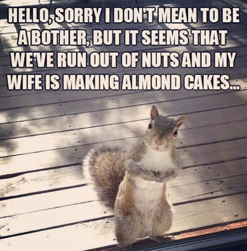 HELLO, SORRY I DON'T MEAN TO BE A BOTHER, BUT IT SEEMS THAT WE'VE RUN OUT OF NUTS AND MY WIFE IS MAKING ALMOND CAKES...