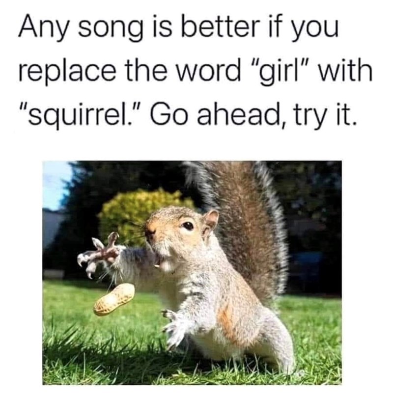 Any song is better if you replace the word "girl" with "squirrel." Go ahead, try it.