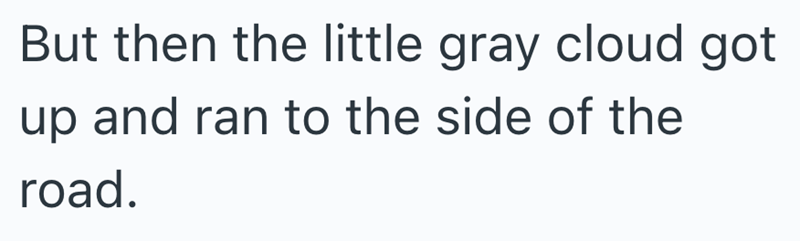 But then the little gray cloud got up and ran to the side of the road.