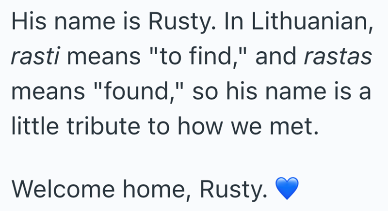 His name is Rusty. In Lithuanian, rasti means "to find," and rastas means "found," so his name is a little tribute to how we met. Welcome home, Rusty.