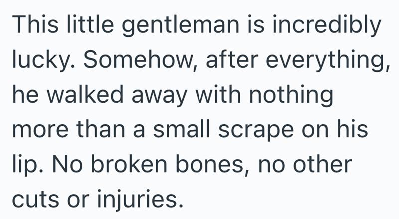 This little gentleman is incredibly lucky. Somehow, after everything, he walked away with nothing more than a small scrape on his lip. No broken bones, no other cuts or injuries.