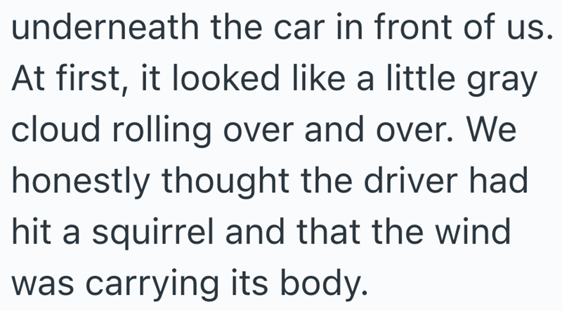 underneath the car in front of us. At first, it looked like a little gray cloud rolling over and over. We honestly thought the driver had hit a squirrel and that the wind was carrying its body.