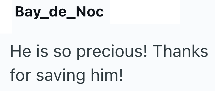 Bay_de_Noc He is so precious! Thanks for saving him!