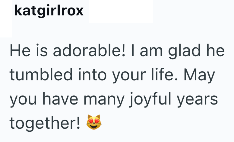 katgirlrox He is adorable! I am glad he tumbled into your life. May you have many joyful years together!