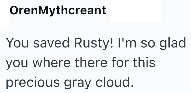 OrenMythcreant You saved Rusty! I'm so glad you where there for this precious gray cloud.