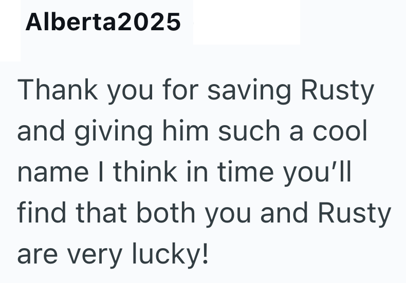 Alberta2025 Thank you for saving Rusty and giving him such a cool name I think in time you'll find that both you and Rusty are very lucky!