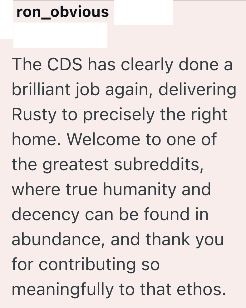 ron_obvious The CDS has clearly done a brilliant job again, delivering Rusty to precisely the right home. Welcome to one of the greatest subreddits, where true humanity and decency can be found in abundance, and thank you for contributing so meaningfully to that ethos.