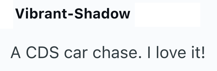 Vibrant-Shadow A CDS car chase. I love it!